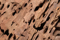 Aquariumholz-Drachenholz-Drachen-Holz-Dragon-Wood-Aquascaping-Wood-Einrichtung-Aquascaping-Layout-Dschungel-Layout-Jungle-Layout