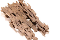 Dragon Wood / Drachenholz / Ameisenholz - GRÖßE WÄHLBAR - Guppy4Friends