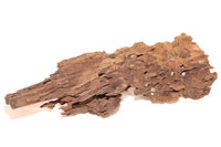 Dragon Wood / Drachenholz / Ameisenholz - GRÖßE WÄHLBAR - Guppy4Friends