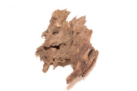 Dragon Wood / Drachenholz / Ameisenholz - GRÖßE WÄHLBAR - Guppy4Friends