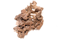 Dragon Wood / Drachenholz / Ameisenholz - GRÖßE WÄHLBAR - Guppy4Friends