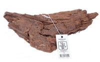 Driftwood. Flussholz. Treibholz für Aquarien. Ideal für Aufsitzerpflanzen wie Anubias, Bucephalandra, Javafarn. Ungewässertes Aquariumholz. Driftwood gibt wichtige Huminstoffe und Lignine an das Wasser ab. Natürliche Habitate weisen eine hohe Konzentration an Huminstoffen auf. Welse benötigen Lignine, die sie über das Holz aufnehmen.