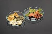 Garnelenfütterung Futterschalen-Set. Fütterschüssel Garnelen und Zwerggarnelen. Zur komfortablen Fütterung von Zwerggarnelen. Keine Überfütterung. Kontrolliertes Füttern. Futterschale Garnelen