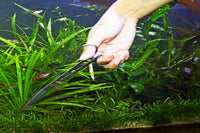 JBL-ProScape-abgewinkelte-Schere-Trimmschere-Pflanzenschnitt-Beschneiden-Aquariumpflanzen-Rückschnitt-Aquascaping