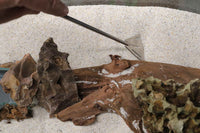 JBL-Proscape-Tool-SP30-Doppel-Spatel-aquascaping-Sand-Flattener-glätten-Bodengrund-Aquarium-Sand-Kies-Sandweg-Steinaufbau