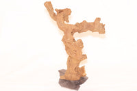 Kongo-Baum auf Schieferplatte / verschiedene Größen - Guppy4Friends