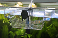 JBL-BabyHome-Oxygen-Aufzuchtbecken-Aufzuchtkasten-Ablaichkasten-Ablaichbecken-Welsgelege-Hochzucht-Separierung-Elterntiere