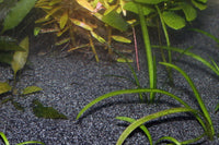 JBL-Sansibar-Dark-Bodengrund-Terrarien-Terrariumsand