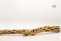 Einrichtung-Aquarium-Einrichtung-Terrarium-Cholla-Wood-Deko-Aquarium-Garnelen-Einrichtung-Zwerggarnelen