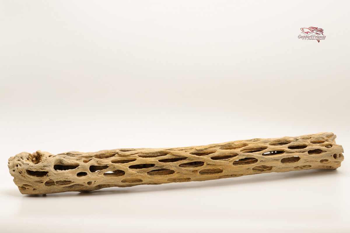 Vukaholz-Vuka-Wood-Cholla-Wood-Kaktusskelett-Skelett-Säulenkaktus