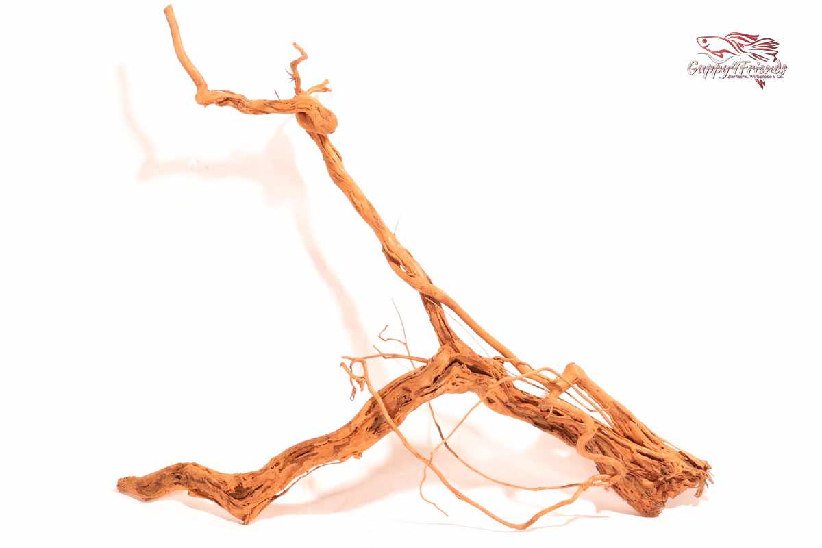 Curlwood-Curl-Wood-Aquariumdekoration-Naturdeko-Einrichtung-natürliche-Gestaltung-Aquascaping
