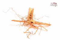 Curlwood-Curl-Wood-Curly-Wood-Curly-Holz-Aquariumwurzeln-Aquariumholz-einrichtung-Deko-Naturdeko-Natureinrichtung