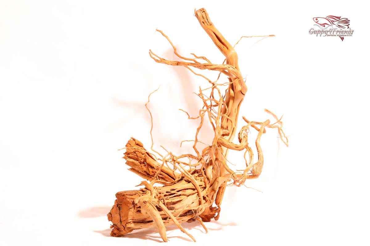 Curlwood-Aquarium-Aquariumwurzel-Aquariumholz-Holz-Curl-Wood-Scaping-Wood-Aquascaping-Natur-Naturdeko