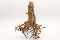 Ethosha-Tree-ethosah-baum-Garnelenbaum-Garnelenbäumchen-Aquascaping-Biofilm-Bakterienrasen-vorwässern-Aquariumholz-Aquariumwurzel-Garnelenwald-Urwald-Jungle-wood-shrimp