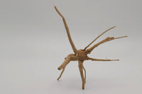 Moorwurzel Aquarium. Spiderwood für Aquascaping. Scaping Wurzeln. Scaping Holz. Guppy4friends Aquascaping