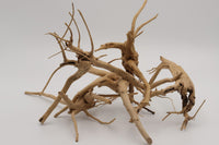 Spiderwood, für Nano-Becken. Aquascaping. Garnelenbecken. Garnelen Aquarium.