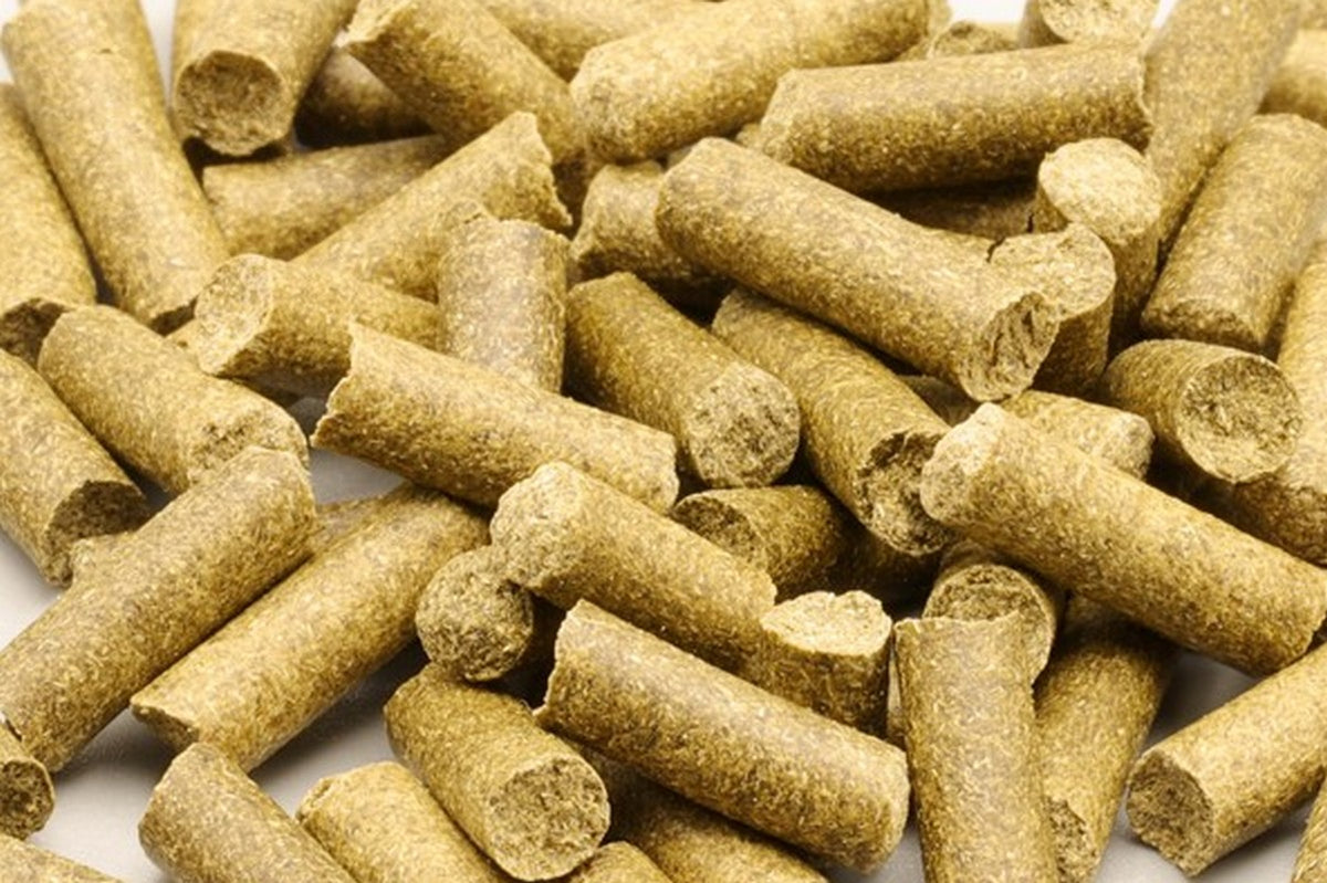 Gerstengrassticks. Einzelfuttermittel für Garnelen Zwerggarnelen und Wirbellose. 100% natürlich. 100% Natur. Naturfutter Zwerggarnelen.