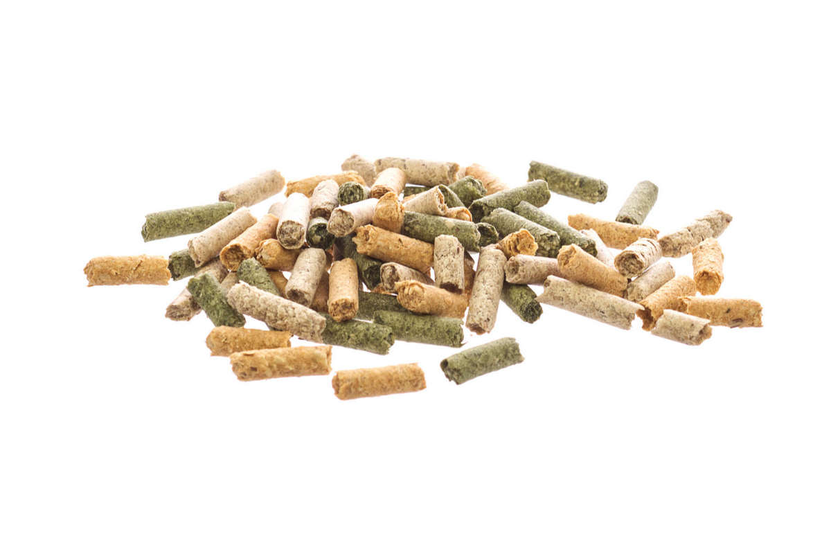 GlasGarten Shrimp Snacks Snow Flakes Sticks Mix 3in1