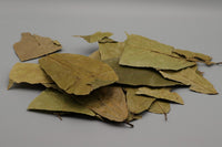 Cocoa Leafes - Kakaoblätter antibakteriell und pilzhemmend durch Antioxidantien und Huminsäure. Natürlicher Wasseraufbereiter für dein Aquarium.