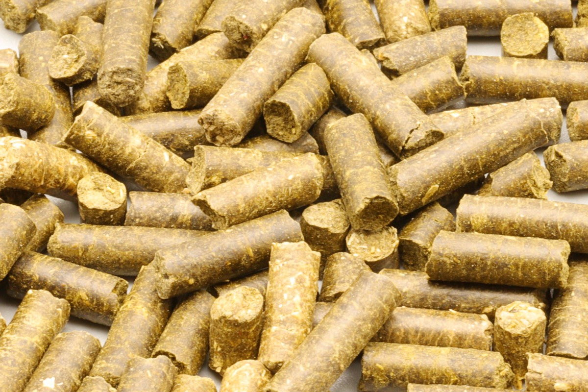 Energy Futtersticks. Energiefutter Zwerggarnelen. Energie Booster Garnelen. Garnelenfutter mit Energie. Sehr geliebt bei Aquarium Zwerggarnelen. Guppy4friends