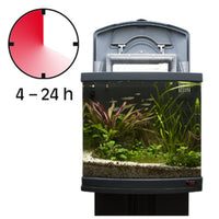 Sera bio Nitrivec / Fischbesatz nach 24h Filterbakterien - Guppy4Friends