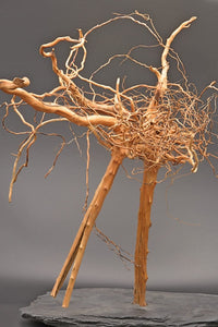 Aquascaping Tree / Garnelenbäumchen / Höhe ca. 35cm - Guppy4Friends