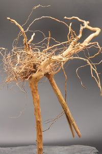 Aquascaping Tree / Garnelenbäumchen / Höhe ca. 35cm - Guppy4Friends