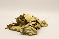 Schwarzerlenblätter Alternative zu Erlenzäpfchen. Effektiv gegen Laichverpilzung. pH-Wert senkend.