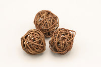 Shrimp Shelter. Branch Shelter. Garnelenversteck. Versteckmöglichkeiten Garnelennachwuchs. Kann mit Moosen besetzt werden.