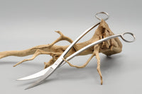 Tropica scissors 25cm Pflanzenschere, Plant Care. aus gebürstetem rostfreien Edelstahl, liegt sehr gut in der Hand. Bequemes Handling. Qualitätsprodukt von Tropia. Vermehrung von Stecklingen. Aquarium Schere Aquariumschere