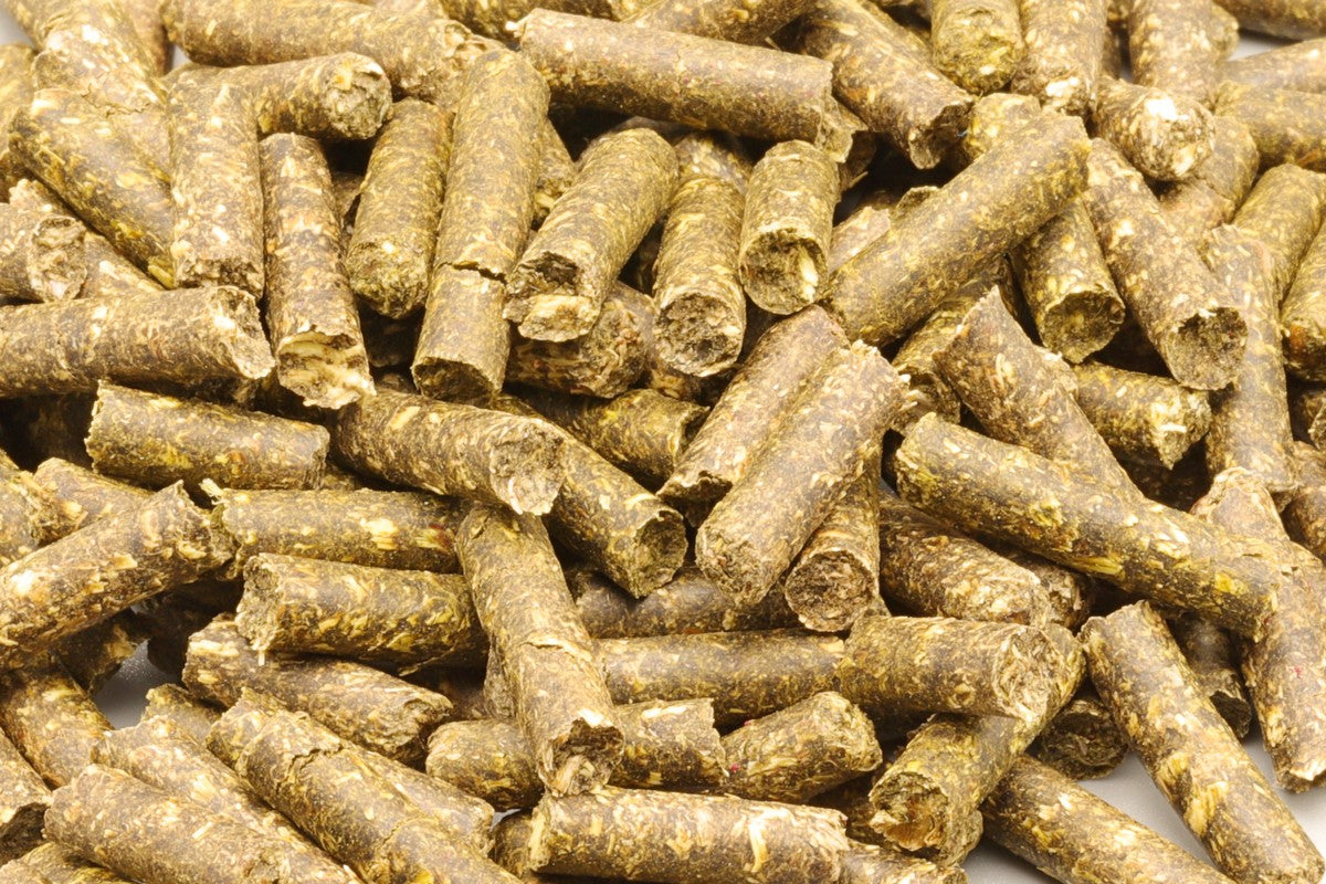 Futtersticks Garnelensticks Vital Sticks. Optimales Wachstum deiner Zwerggarnelen. Verschiedene Kräuter und Gemüsesticks. Für eine gesunde Enwicklung deiner Zwerggarnelen. Aufzuchtfutter Garnelen. Zuchtfutter Zwerggarnelen.
