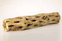 Vuka-Holz-Garnelenholz-cholla-wood-chollawood-Säulenkaktus-getrocknet-Kletterspielplatz-Zwerggarnelen-Neocaridina-Caridina-Einrichtung-Garnelendeko-Zwerggarnelen-Versteckmöglichkeiten-Babygarnelen