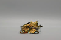 Zucchini Chips 10g getrocknete Gemüsescheiben - Guppy4Friends