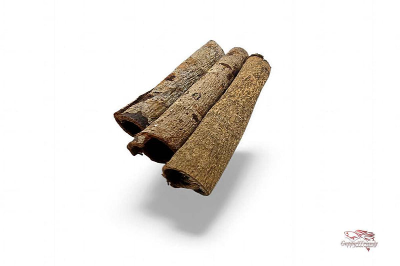 Seemandelbaumrinden Röhrchen Nano (ca. 10cm) / Catappa Caves