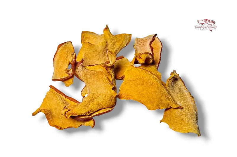 kürbis chips aufbewahren Hokkaido-Kürbis Chips 10g / Garnelen, Schnecken & Wels-Futter
