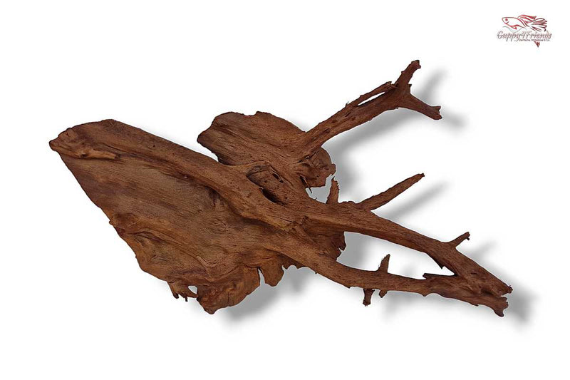 Aquariumwurzel-Aquariumeinrichtung-Aquariumdeko-Mangrove-Mangrovenwurzel-Mangrovenholz-massives-Holz-wuchtige-Optik-Holz-Klassiker-Aquariumwurzeln-L-Welse-Versteckmöglichkeiten-Bepflanzung