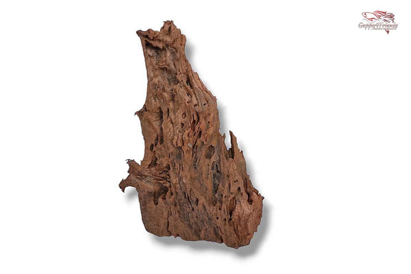 Aquariumwurzel-Aquariumeinrichtung-Aquariumdeko-Mangrove-Mangrovenwurzel-Mangrovenholz-massives-Holz-wuchtige-Optik-Holz-Klassiker-Aquariumwurzeln-L-Welse-Versteckmöglichkeiten-Bepflanzung