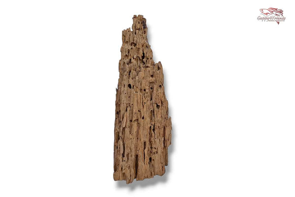 Aquariumwurzel-Aquariumeinrichtung-Aquariumdeko-Mangrove-Mangrovenwurzel-Mangrovenholz-massives-Holz-wuchtige-Optik-Holz-Klassiker-Aquariumwurzeln-L-Welse-Versteckmöglichkeiten-Bepflanzung