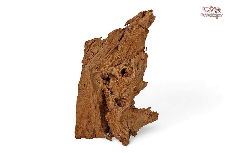 Aquariumwurzel-Aquariumeinrichtung-Aquariumdeko-Mangrove-Mangrovenwurzel-Mangrovenholz-massives-Holz-wuchtige-Optik-Holz-Klassiker-Aquariumwurzeln-L-Welse-Versteckmöglichkeiten-Bepflanzung