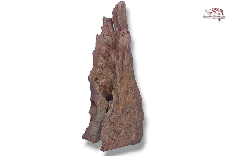 Aquariumwurzel-Aquariumeinrichtung-Aquariumdeko-Mangrove-Mangrovenwurzel-Mangrovenholz-massives-Holz-wuchtige-Optik-Holz-Klassiker-Aquariumwurzeln-L-Welse-Versteckmöglichkeiten-Bepflanzung