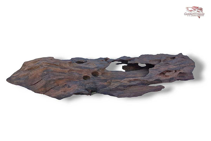 Aquariumwurzel-Aquariumeinrichtung-Aquariumdeko-Mangrove-Mangrovenwurzel-Mangrovenholz-massives-Holz-wuchtige-Optik-Holz-Klassiker-Aquariumwurzeln-L-Welse-Versteckmöglichkeiten-Bepflanzung