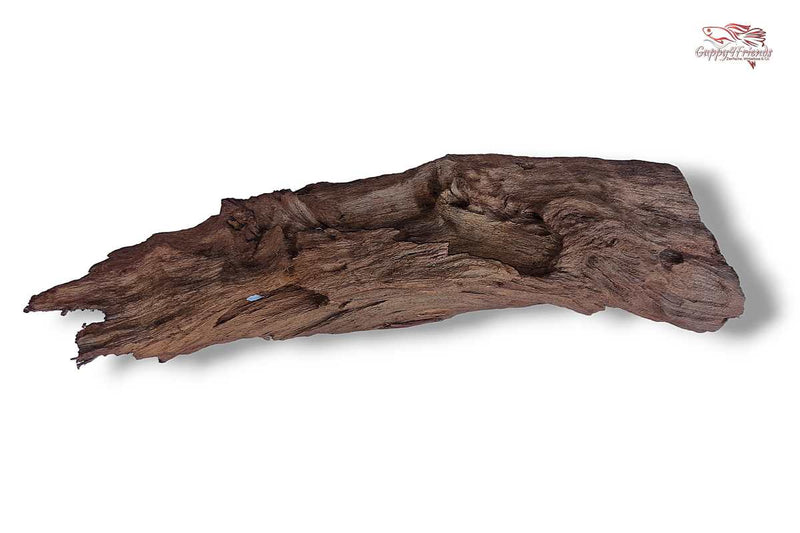 Aquariumwurzel-Aquariumeinrichtung-Aquariumdeko-Mangrove-Mangrovenwurzel-Mangrovenholz-massives-Holz-wuchtige-Optik-Holz-Klassiker-Aquariumwurzeln-L-Welse-Versteckmöglichkeiten-Bepflanzung