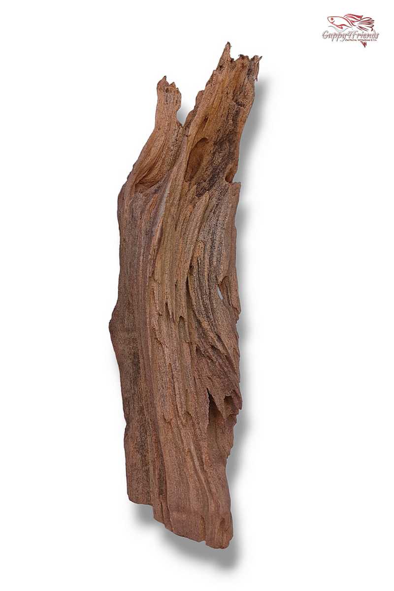Aquariumwurzel-Aquariumeinrichtung-Aquariumdeko-Mangrove-Mangrovenwurzel-Mangrovenholz-massives-Holz-wuchtige-Optik-Holz-Klassiker-Aquariumwurzeln-L-Welse-Versteckmöglichkeiten-Bepflanzung