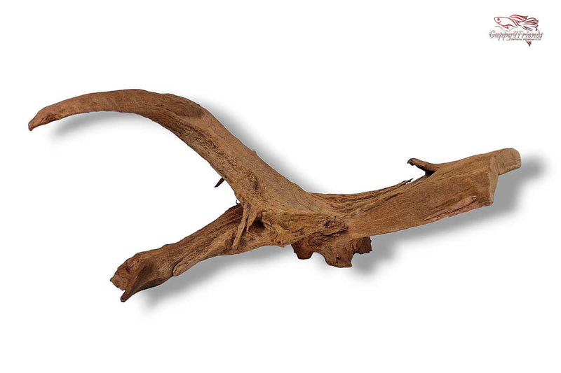 Aquariumwurzel-Aquariumeinrichtung-Aquariumdeko-Mangrove-Mangrovenwurzel-Mangrovenholz-massives-Holz-wuchtige-Optik-Holz-Klassiker-Aquariumwurzeln-L-Welse-Versteckmöglichkeiten-Bepflanzung