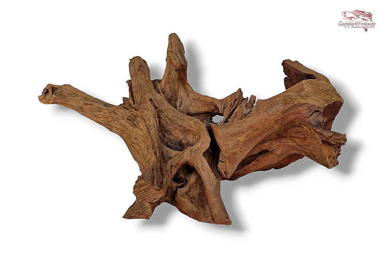 Aquariumwurzel-Aquariumeinrichtung-Aquariumdeko-Mangrove-Mangrovenwurzel-Mangrovenholz-massives-Holz-wuchtige-Optik-Holz-Klassiker-Aquariumwurzeln-L-Welse-Versteckmöglichkeiten-Bepflanzung
