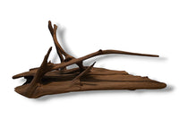 Mangrove / Aquariumwurzel 54 x 34 x 29cm - Einzelstück