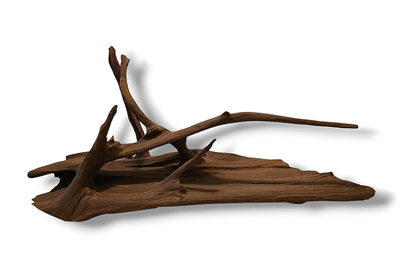 Mangrove / Aquariumwurzel 54 x 34 x 29cm - Einzelstück