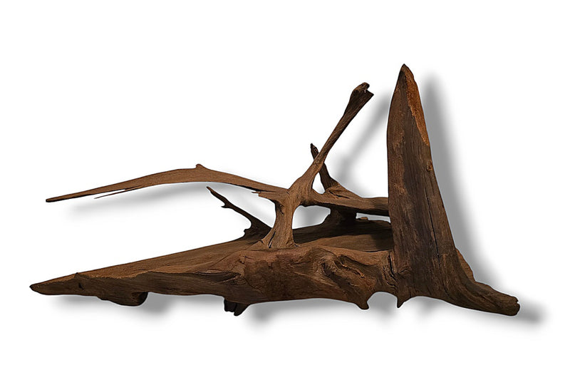 Mangrove / Aquariumwurzel 54 x 34 x 29cm - Einzelstück