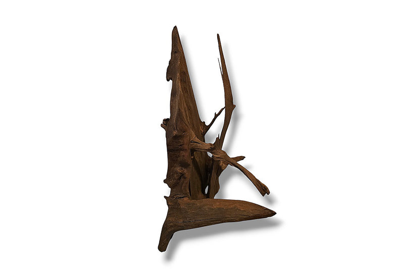 Mangrove / Aquariumwurzel 54 x 34 x 29cm - Einzelstück