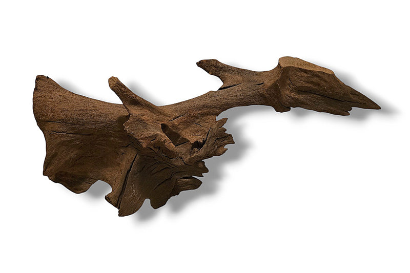 Mangrove / Aquariumwurzel 60 x 19 x 28cm - Einzelstück